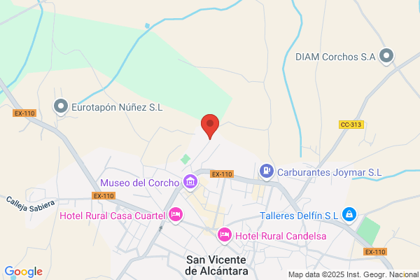 I.E.S San Vicente De Alcantara