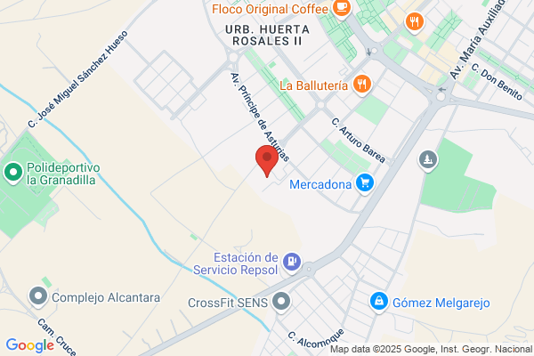Instituto De Estudios De Lengua Espanola