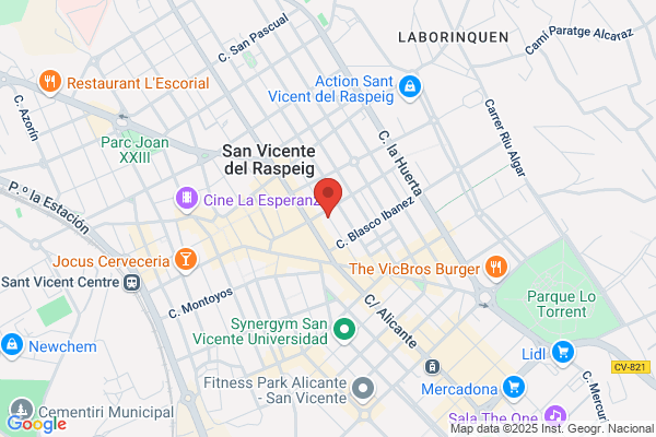 Hijos De Vicente Pastor S.L.