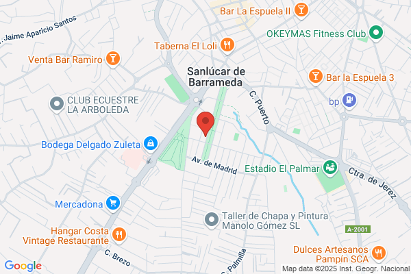 Libreria Y Papeleria Pedro