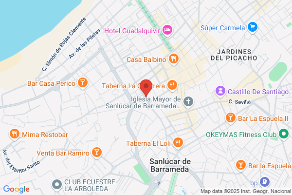 Partido Socialista Obrero Español
