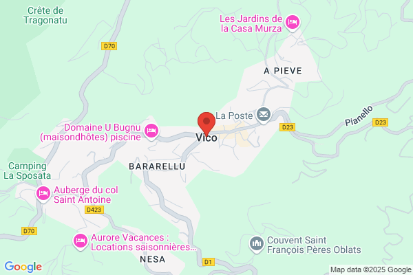 A. Vico