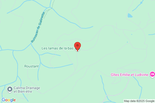 Ansede Lama j.