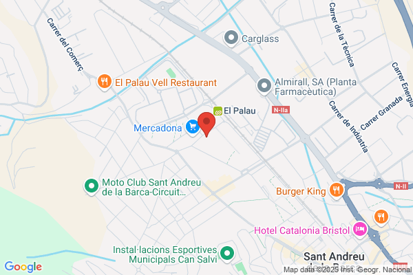 Ies El Palau