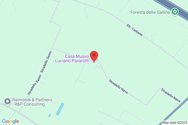 Luciano Pavarotti S.L.
