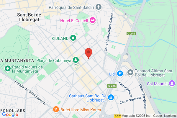 Consignaciones Y Transportes Coloegui S.A.