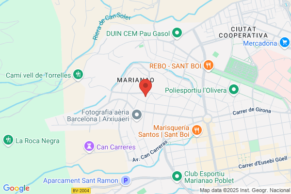 Representaciones Industriales Massague S. A.