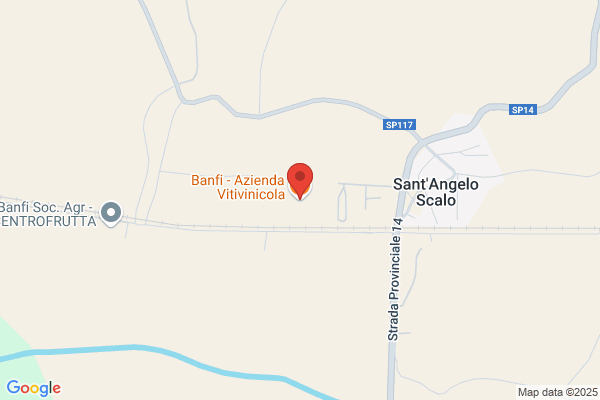 Banfi Gonzalez m.
