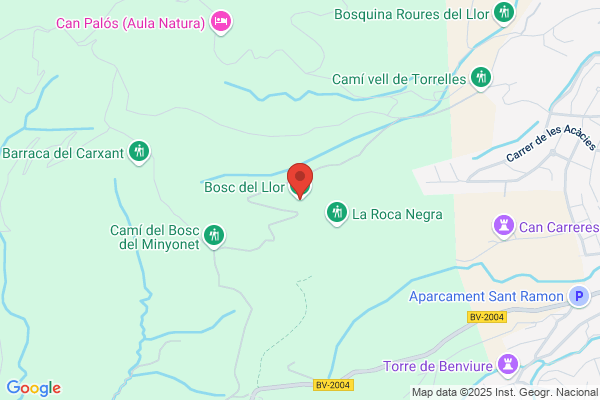 Bosque Cuyas m. I.