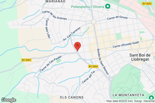 Piñol Altes p.