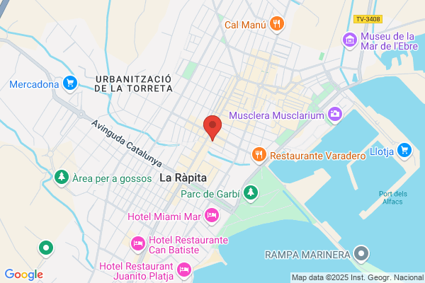 Multiservicios Rapidconss