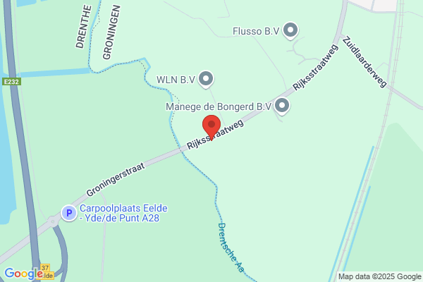 Gèneres de Punt Serdà