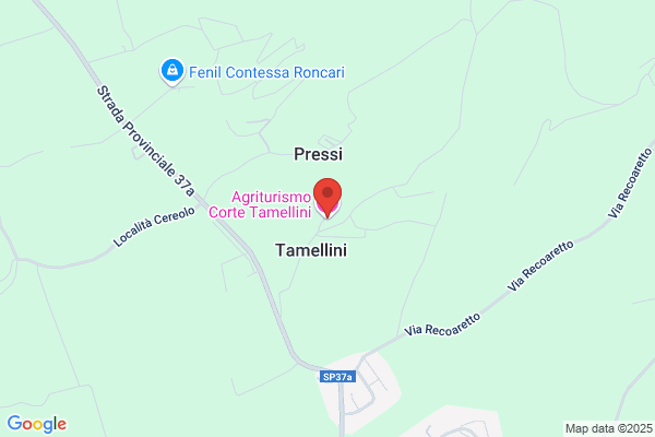 Patrick Tamellini