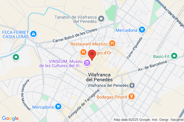 Anfi Vilafranca S.L.