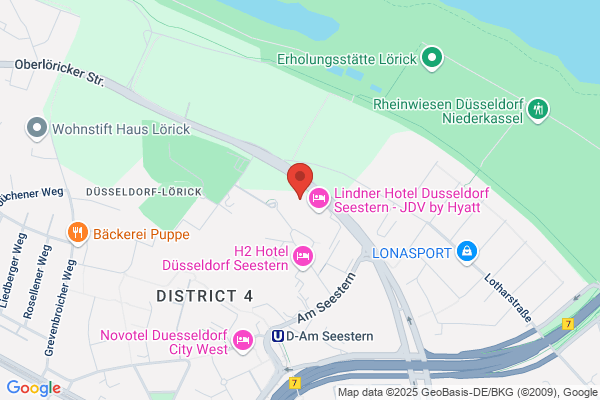 DProsolution