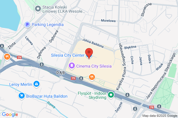 Raventos Silisis v.