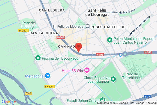 Optica Feliu