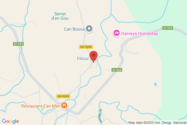 Filicor S.L.
