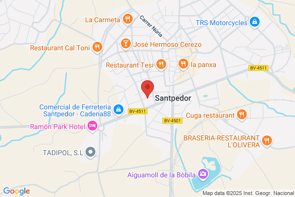 Santpedor Car Service - Bosch Car Service