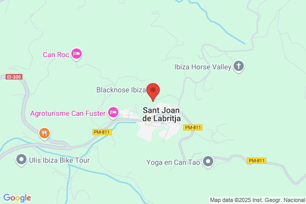 Sa Guaita Holiday Villa