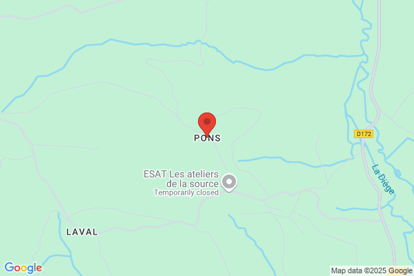 Pons Roque j.