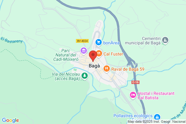 Ajuntament De Baga - Col Public G De Pinos