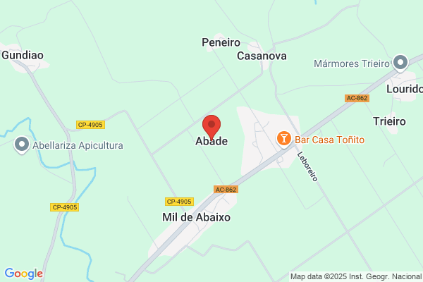 Abad Gallego v.