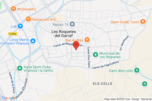 Serveis Publicitaris Del B.Ll.S.L.