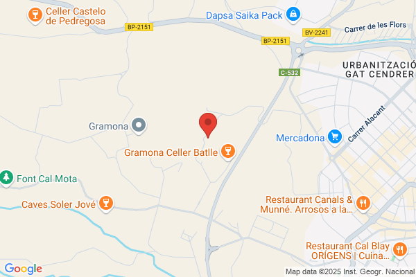 Cavas Agustí Torell. S. A.