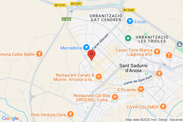 Institut Del Cava