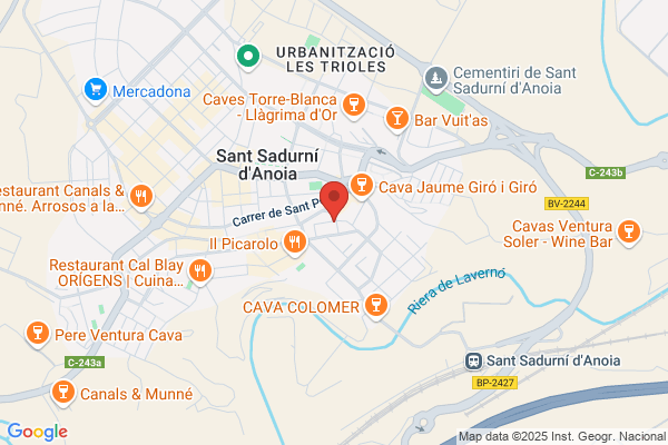 Castells Vives - Agente Comercial e