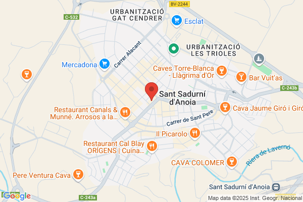 Caprabo S A
