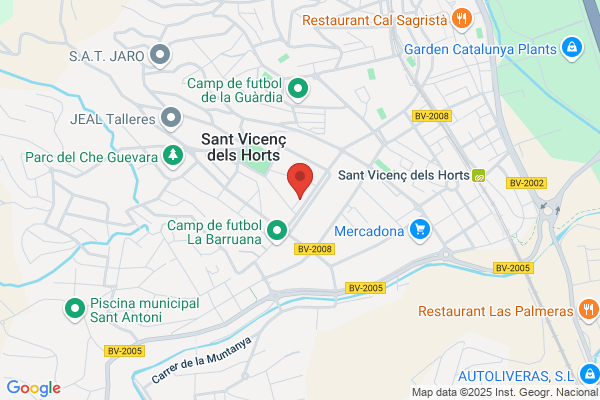 Penya Barcelonista Boixos Nois
