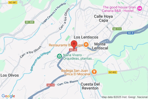 Santa Brígida