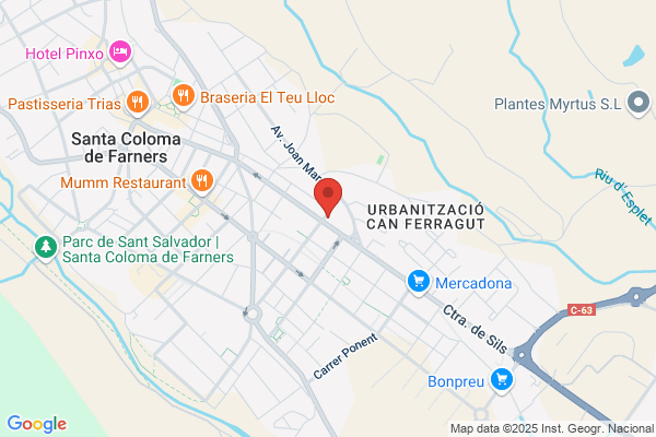 Coll Sureda j.