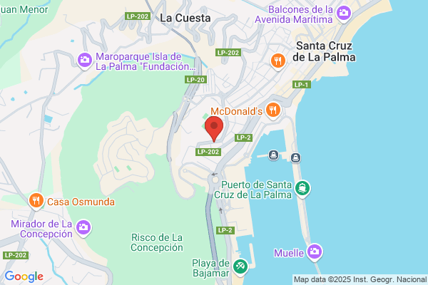 Imprenta Litografia La Palma S.L.