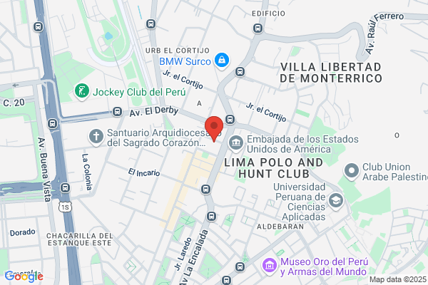 Servicios A La Direccion J.A.Yanes Y Asociados s.A.