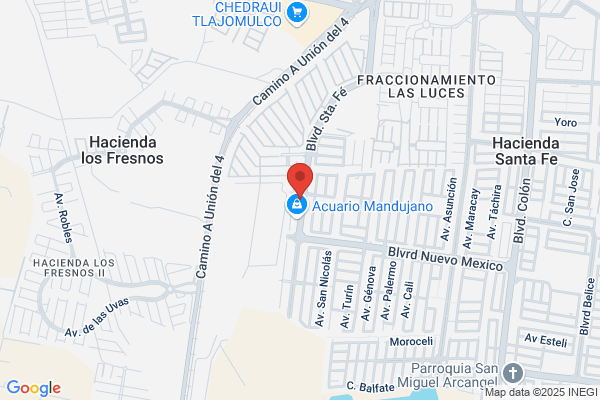 Artes Hernandez f.