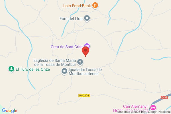 Solsona Ruiz j.