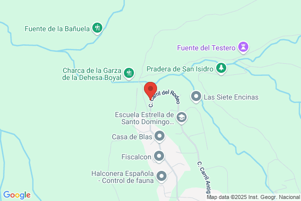Zafiro Tours Sarón