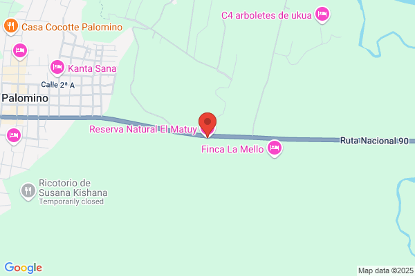 Mateos Palomino m.
