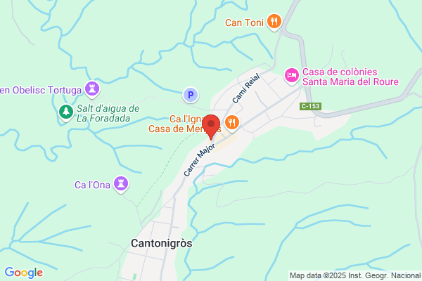 Finques Cantoni S.L.