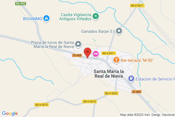 Sanz Martin s.