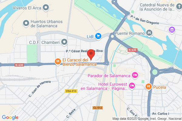 Hotel Vincci Ciudad De Salamanca