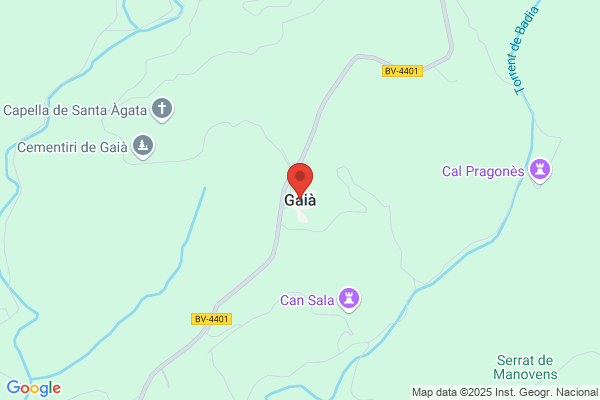 A. Gaya S. A.
