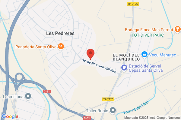 PROCURADOR RAUL SEGURA- EL VENDRELL