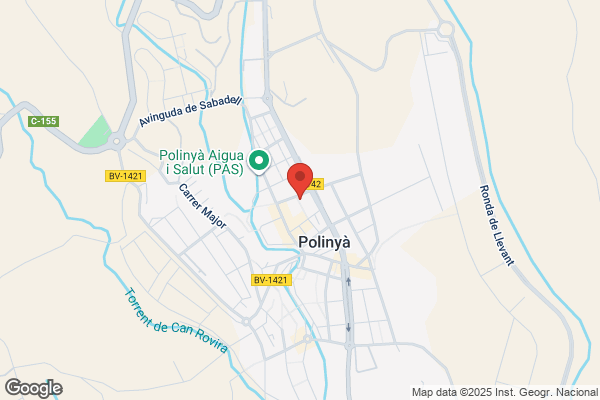 Assessoria Polinya S. Cv.