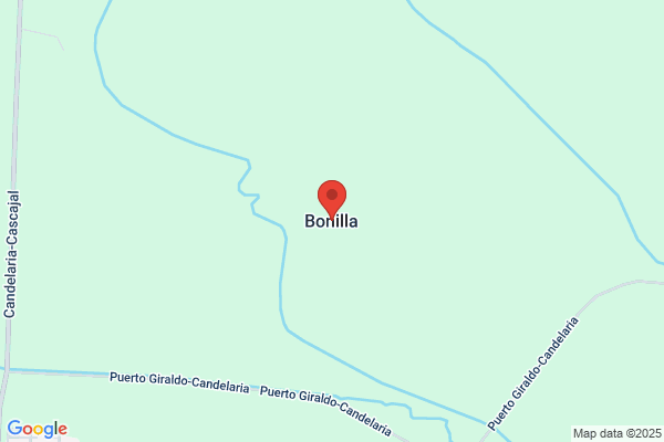 Bonilla Bolivar e.