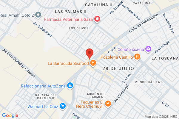 211 OLIVOS PLAYA