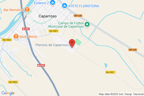 Garriz Caparroso f.